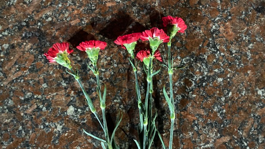 Фото: mosaica.ru