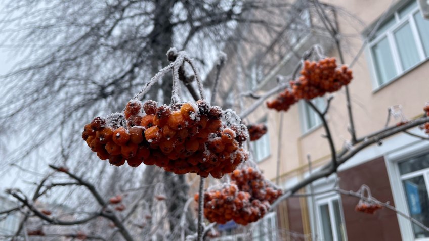 Фото: mosaica.ru