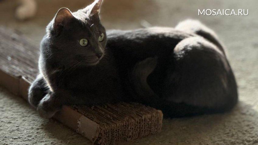 Архив редакции