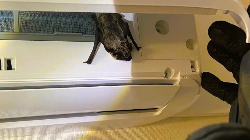 Управление гражданской защиты Ульяновск 