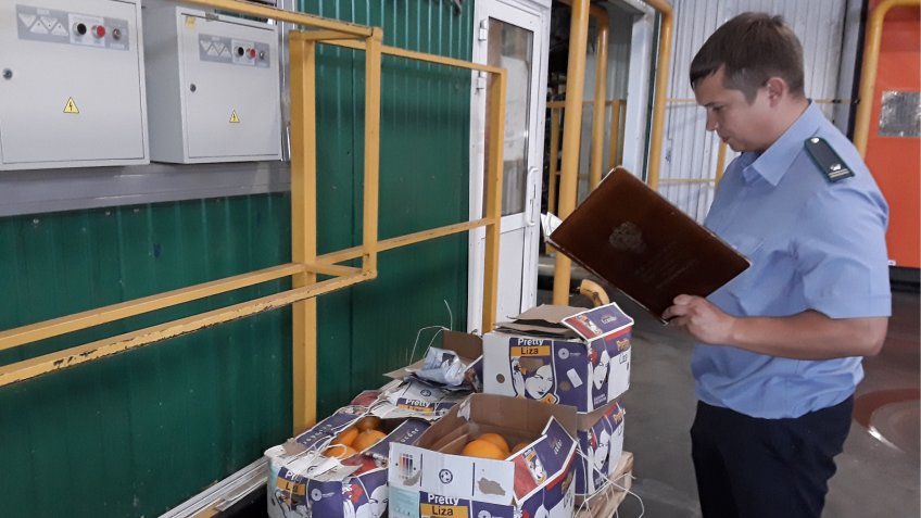 Фото: Управление Россельхознадзора по УО