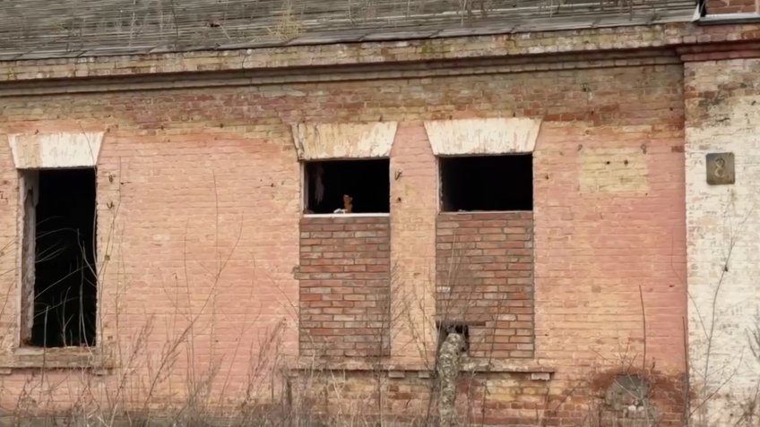 Фото: КПРФ Ульяновск