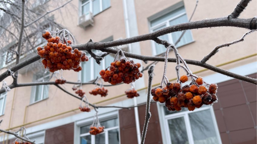 Фото: mosaica.ru