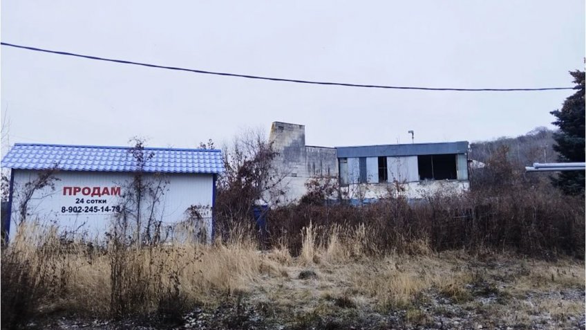 Фото: администрация Ульяновска