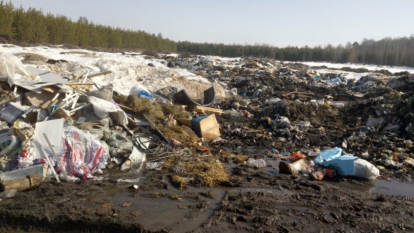 Фото: Управление Россельхознадзора по УО