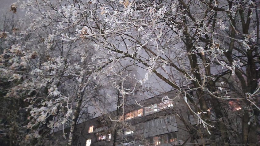 Фото: mosaica.ru