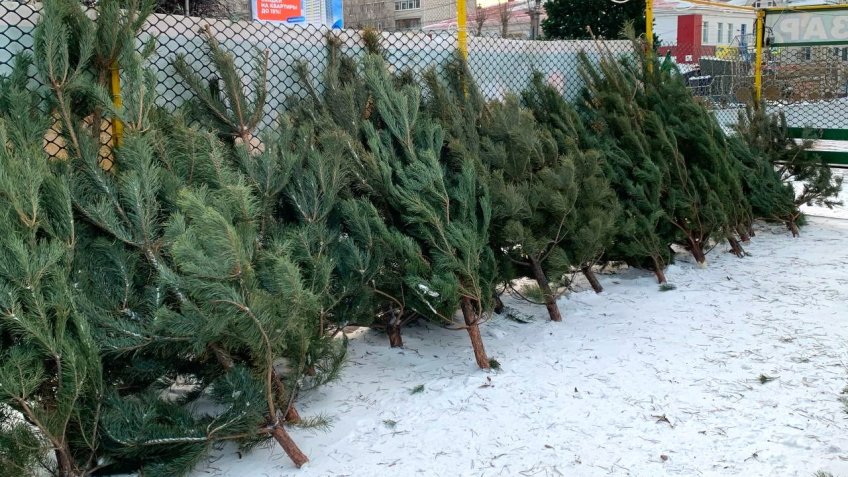 Фото: администрация Ульяновска