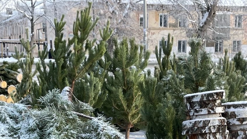 Фото: mosaica.ru