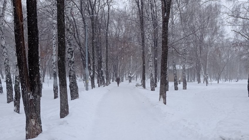 Фото: mosaica.ru