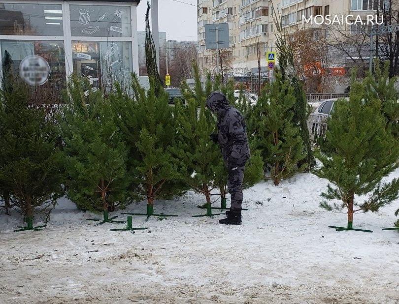 Фото: Мозаика | Новости Ульяновска