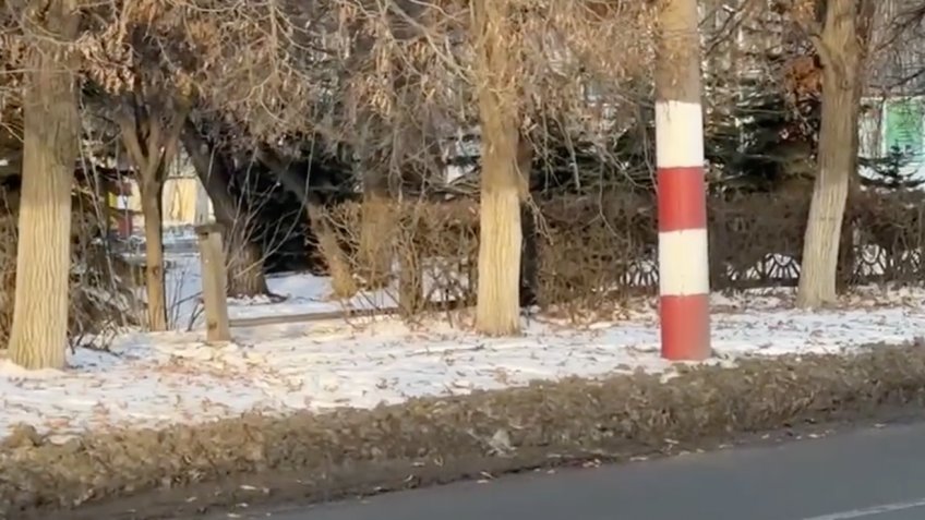 Скриншот из видео 