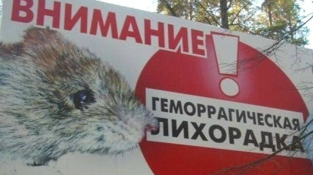 страница ВК администрация Димитровграда