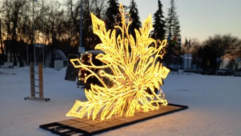 Фото: Городской центр по благоустройству и озеленению