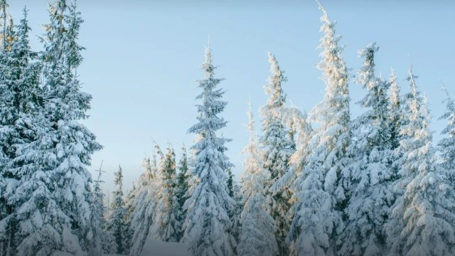 страница ВК Минприроды Ульяновской области