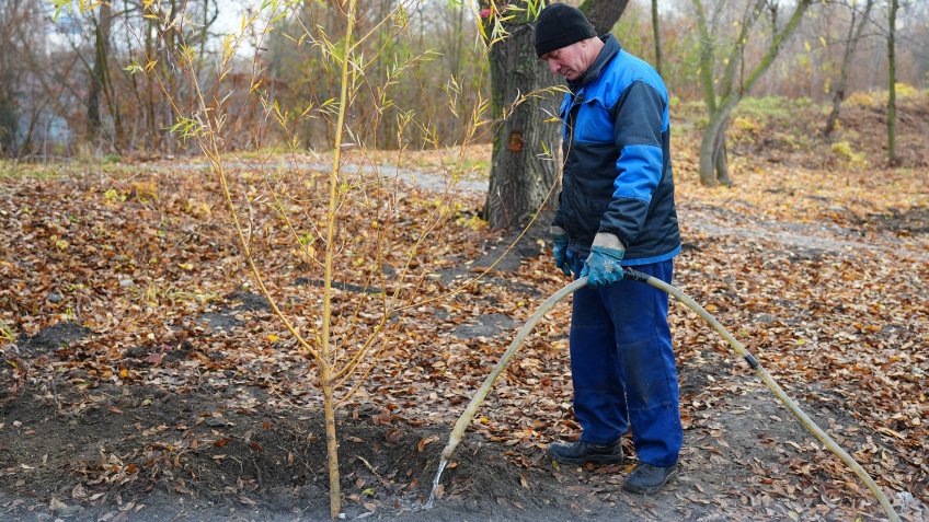 сайт горадминистрации Ульяновска