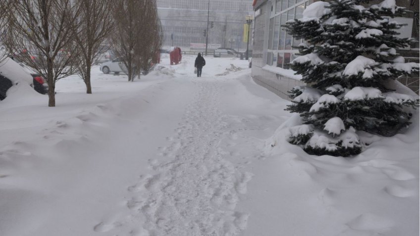 Фото: mosaica.ru