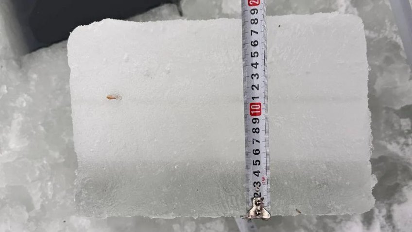 Фото: администрация Ульяновска