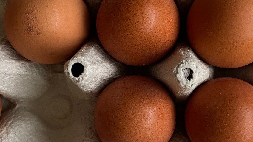 Фото: mosaica.ru