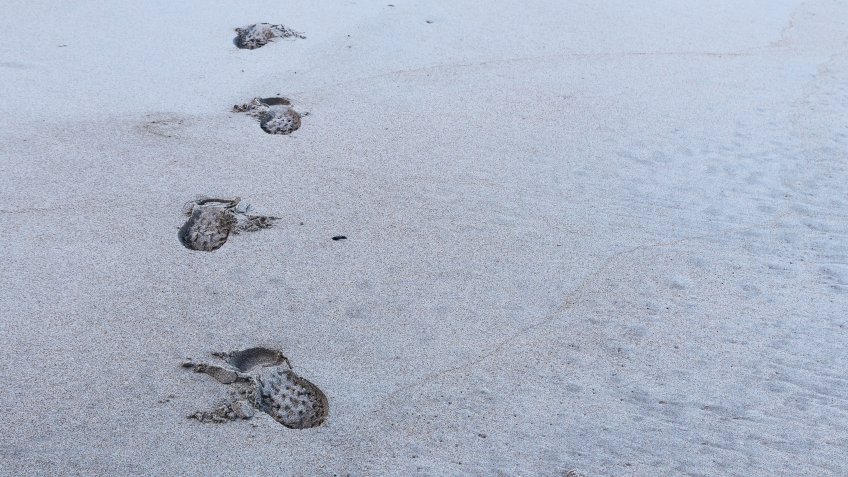 Изображение от wirestock на Freepik