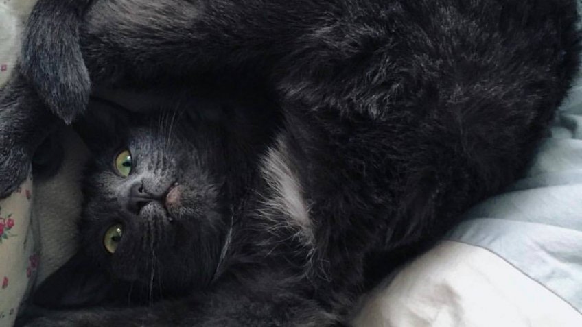 Архив редакции