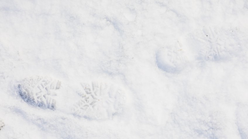 Изображение от freepik