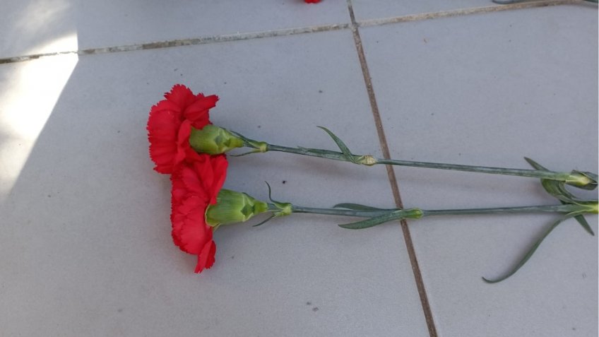 Фото: mosaica.ru