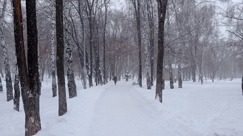 Фото: mosaica.ru