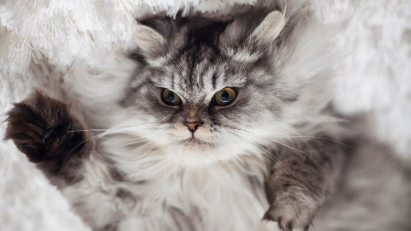 Фото: freepik.com