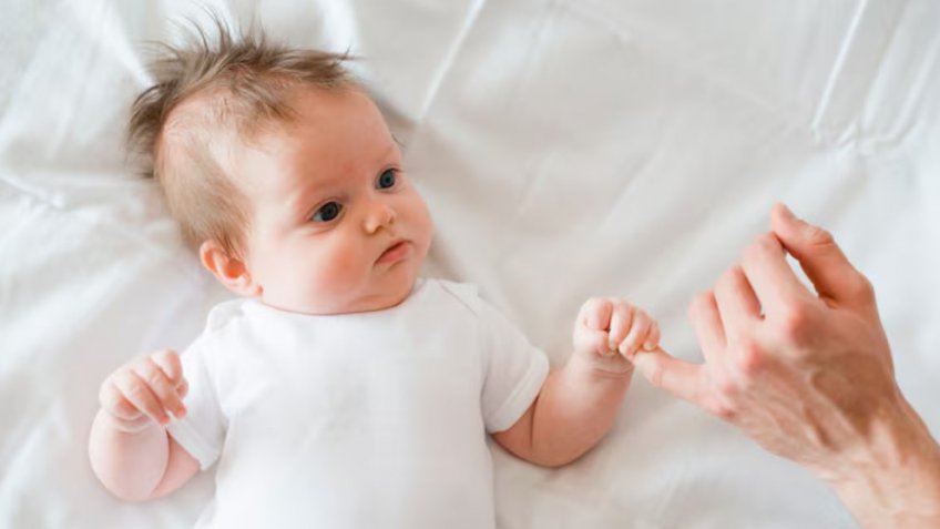 Фото: freepik.com