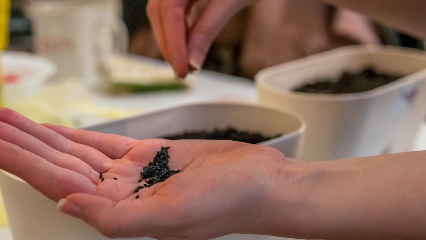 Фото: freepik.com