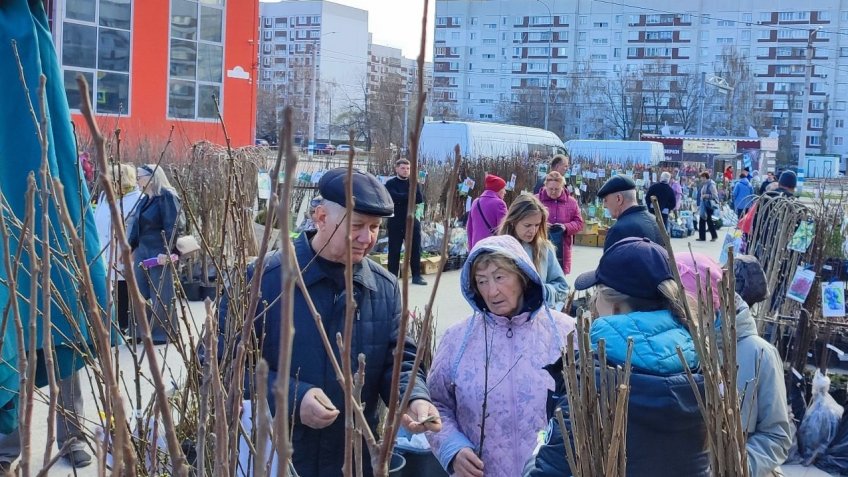 Фото: Mosaica.ru | ВКП