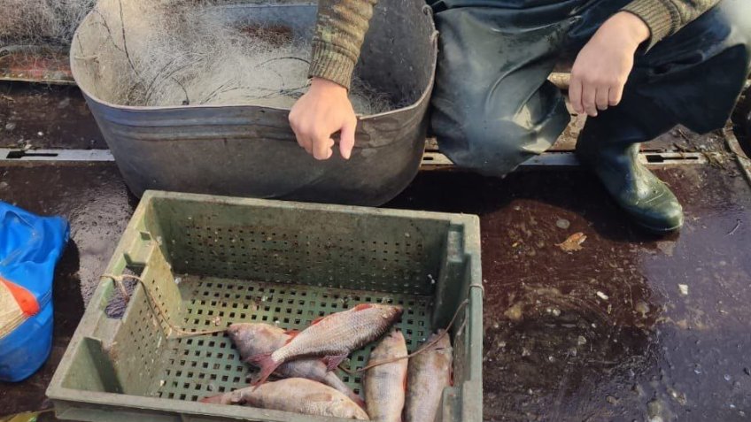 Фото:  Минприроды Ульяновской области