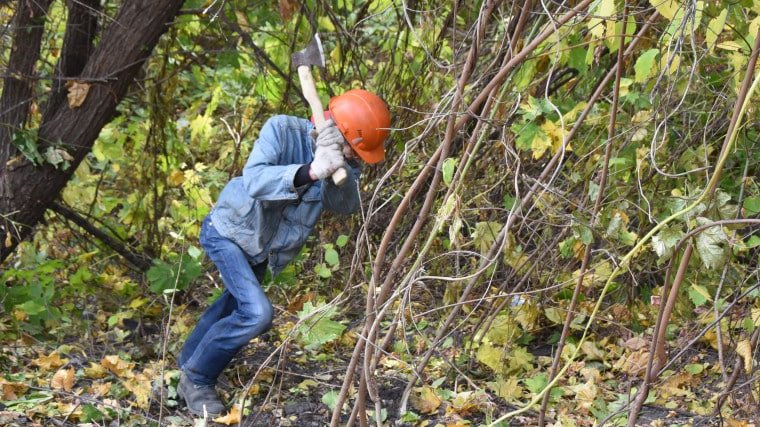 Фото: администрация Ульяновска