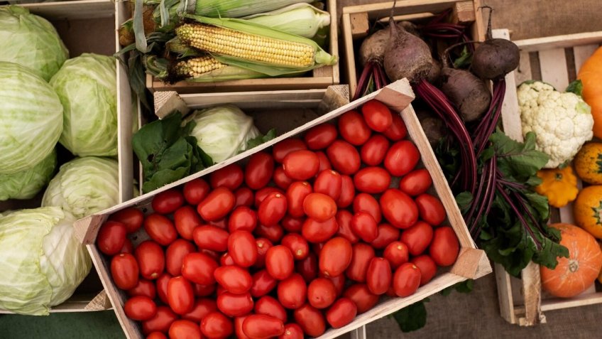 Фото: freepik.com