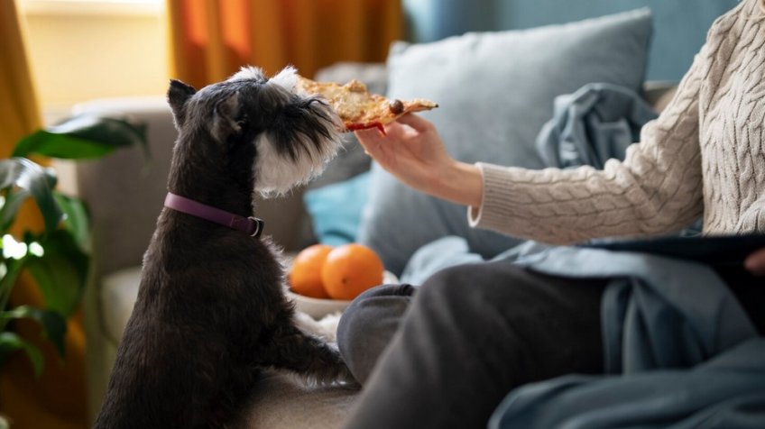 Фото: freepik.com