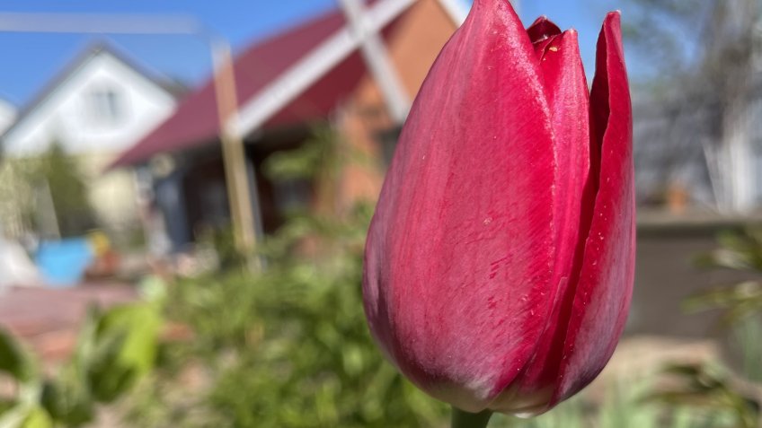 Фото: mosaica.ru