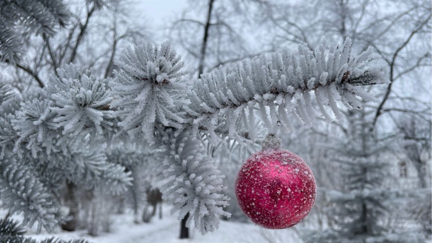 Фото: mosaica.ru