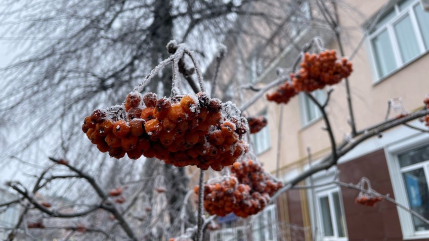 Фото: mosaica.ru