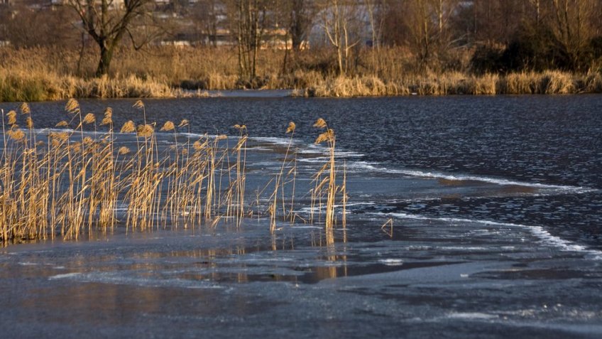 Фото: freepik.com