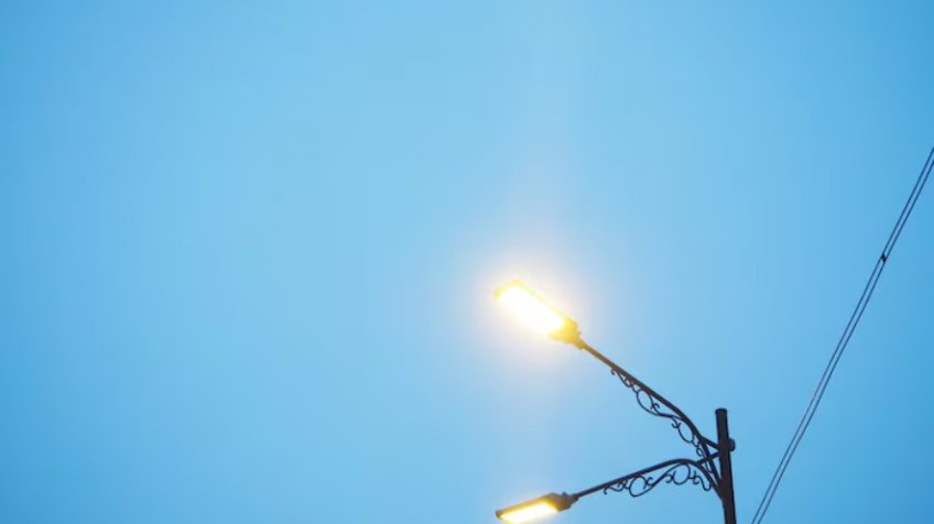 Фото: freepik.com