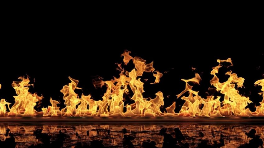 Фото: freepik.com