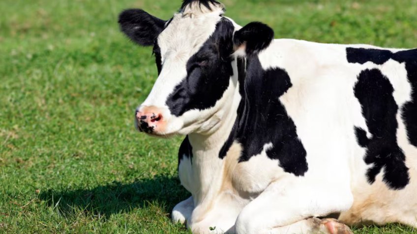 Фото: freepik.com