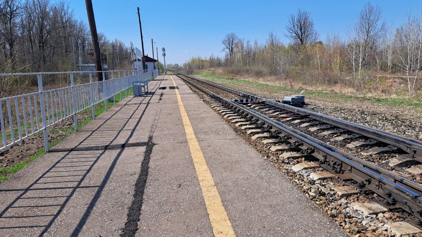 Фото: Mosaica.ru