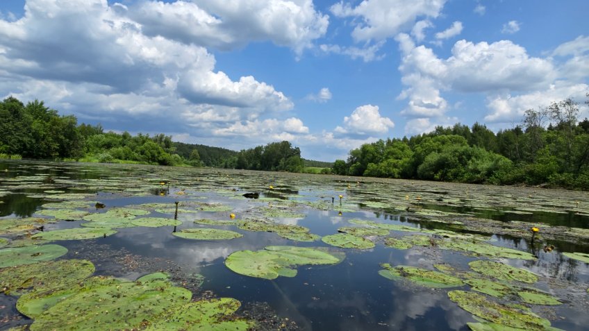 Фото: Mosaica.ru