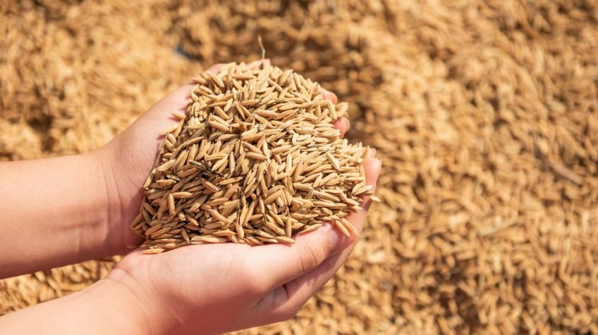 Фото: freepik.com