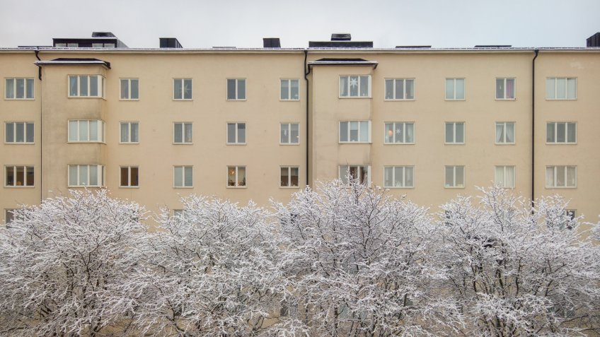 Фото: freepik.com