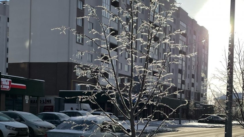 Фото: Mosaica.ru