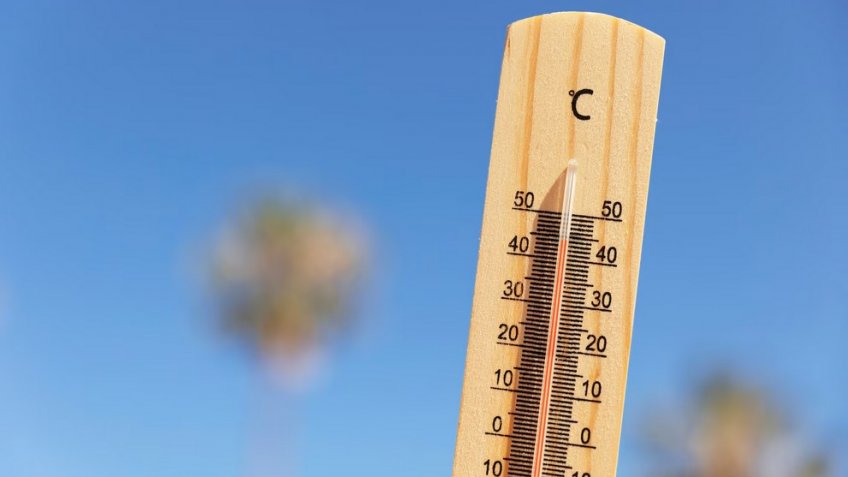 Фото: freepik.com