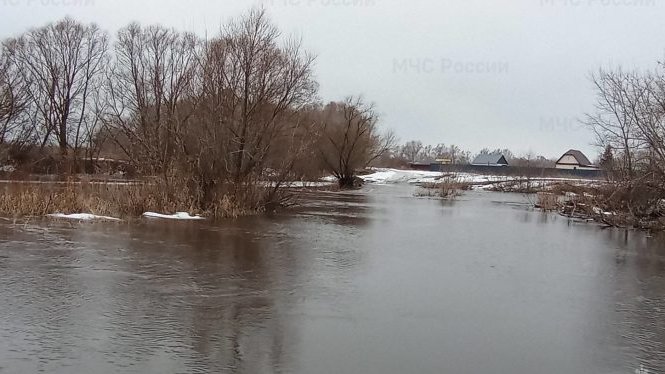 Фото: ГУ МЧС России по Ульяновской области