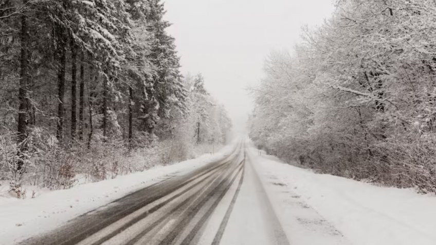 Фото: freepik.com